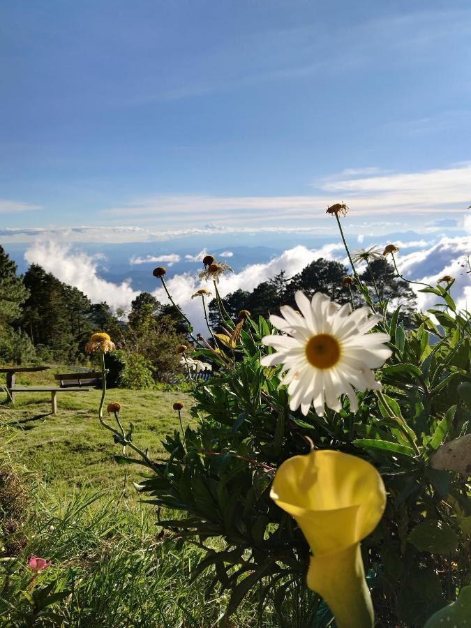 San Ignacio El Pital Ecolodge מראה חיצוני תמונה