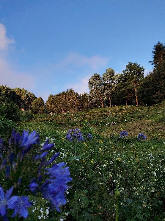 San Ignacio El Pital Ecolodge מראה חיצוני תמונה